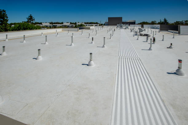 Best Rubber Roofing (EPDM, TPO)  in Maroa, IL